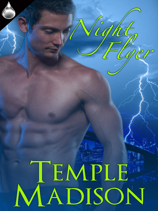 Cover image for Night Flyer